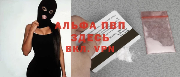 тгк Нея