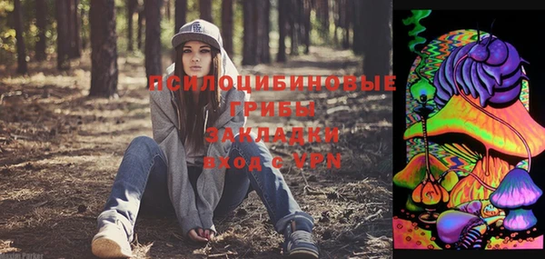 PSILOCYBIN Билибино