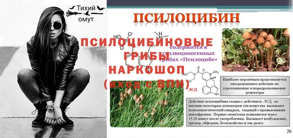 тгк Нея