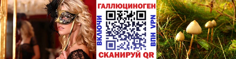 Галлюциногенные грибы Psilocybe  купить наркоту  Мостовской 